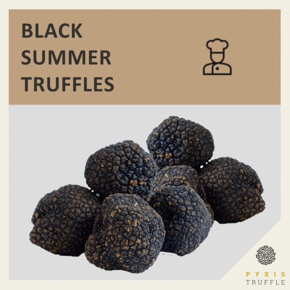Catering Edition - Fresh Black Summer Truffles (Tuber aestivum)