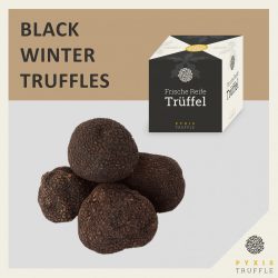 Fresh Black Autumn Truffles (Tuber uncinatum)